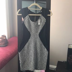 Express Animal print dress